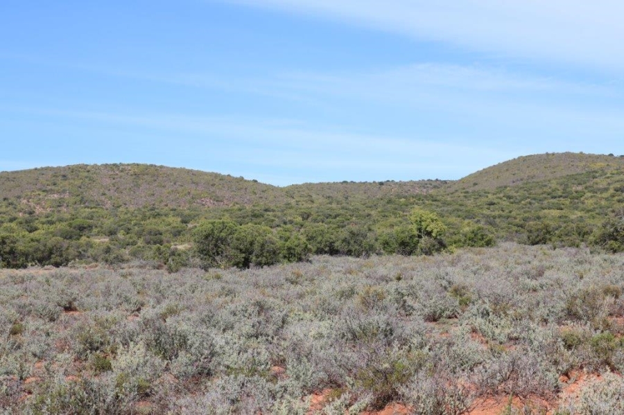 Commercial Property for Sale in Oudtshoorn Rural Western Cape